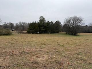 1478 Ladd Springs Rd Road SE