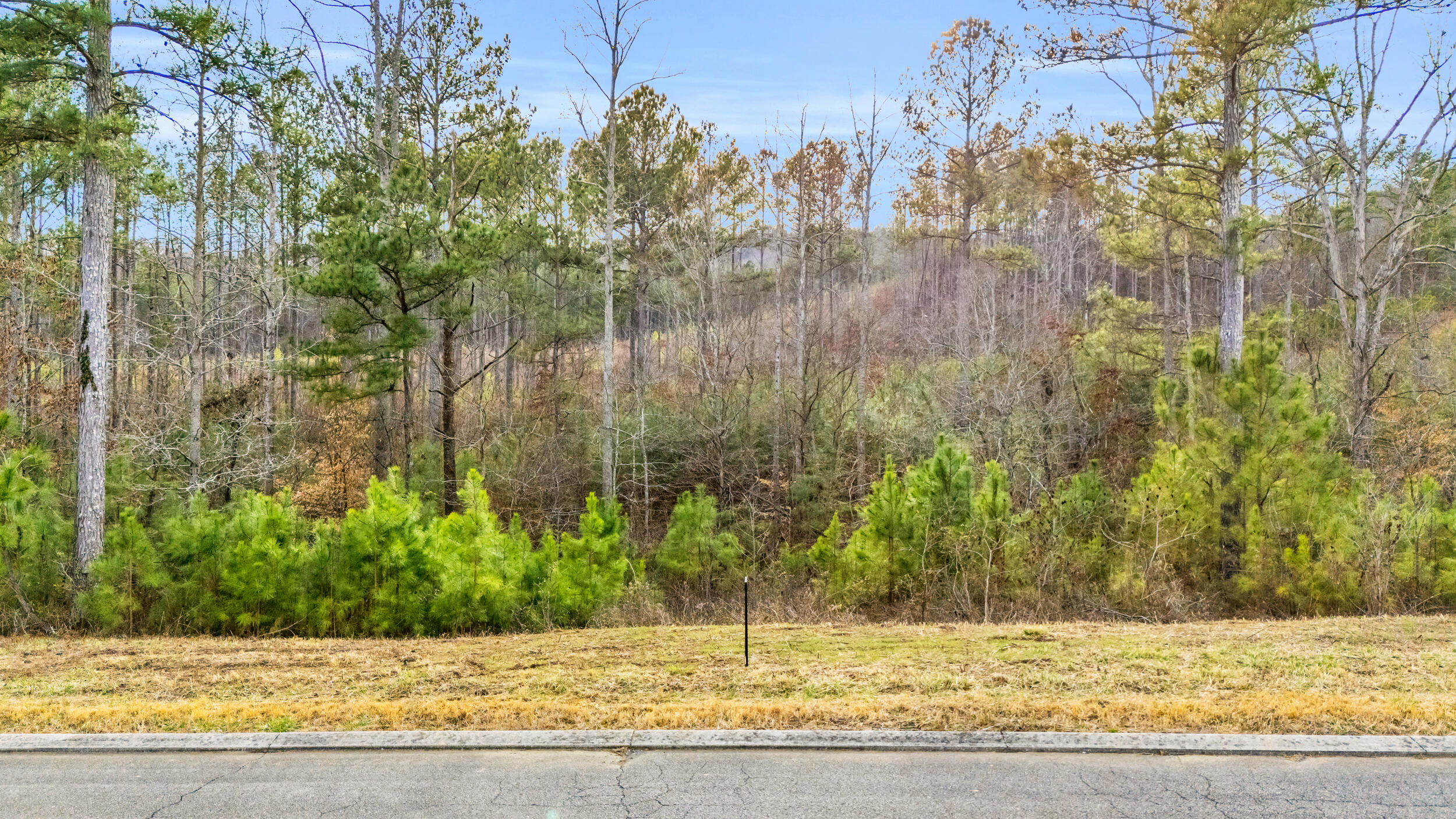 104 Quail Lane