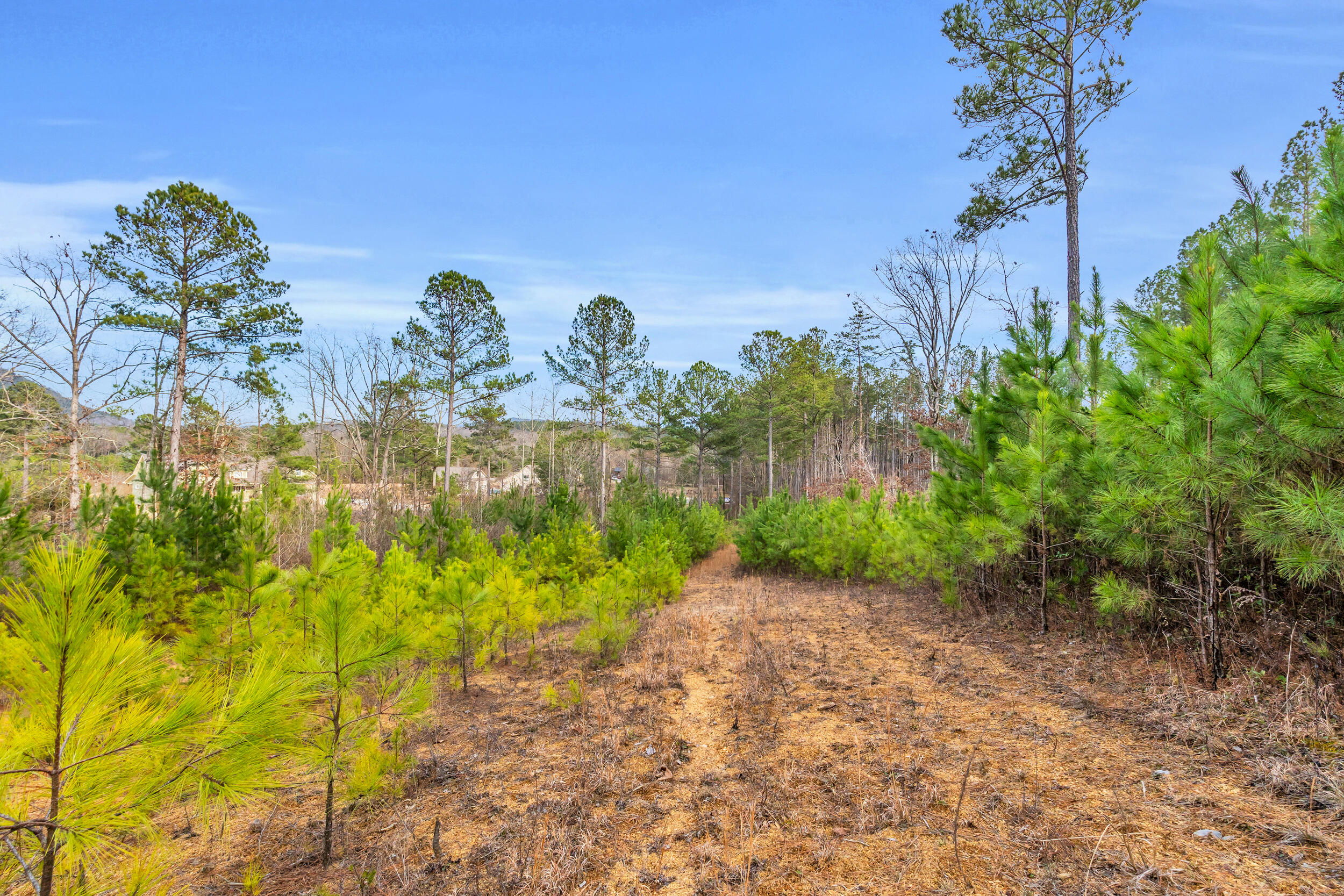 104 Quail Lane