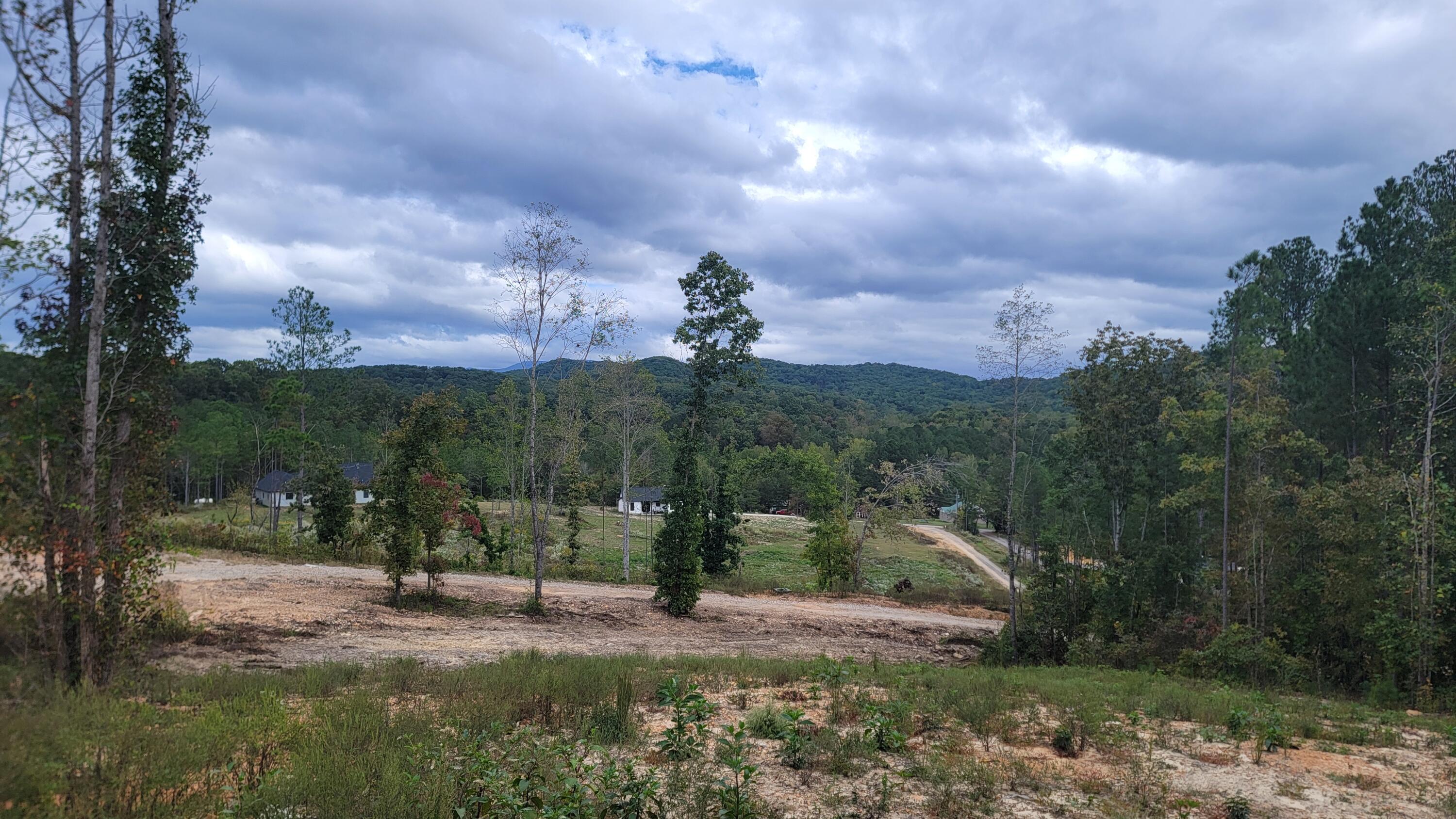 531 Horns Creek Road
