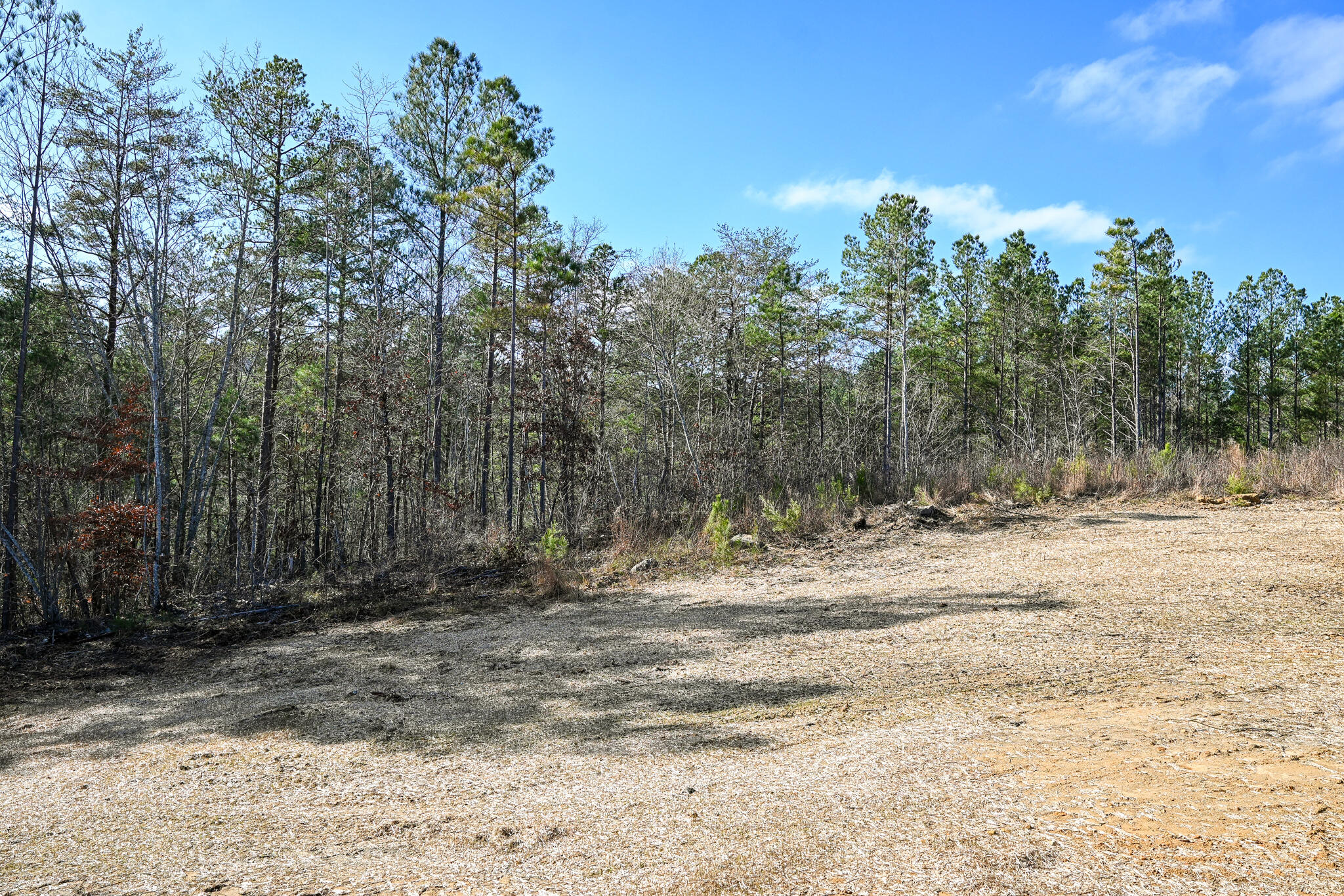 531 Horns Creek Road