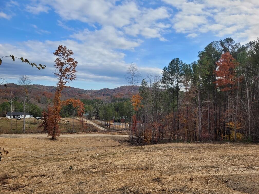 531 Horns Creek Road