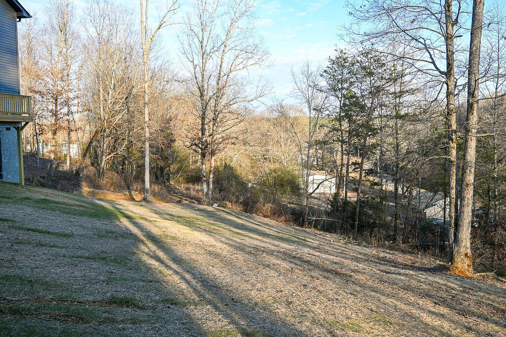 153 County Road 174