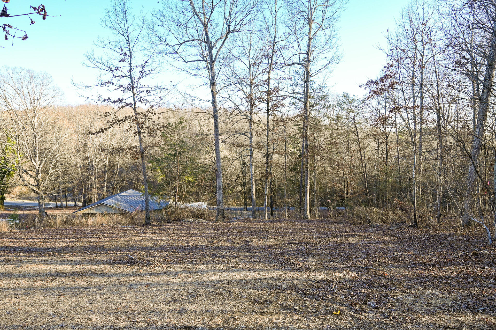 159 County Road 174