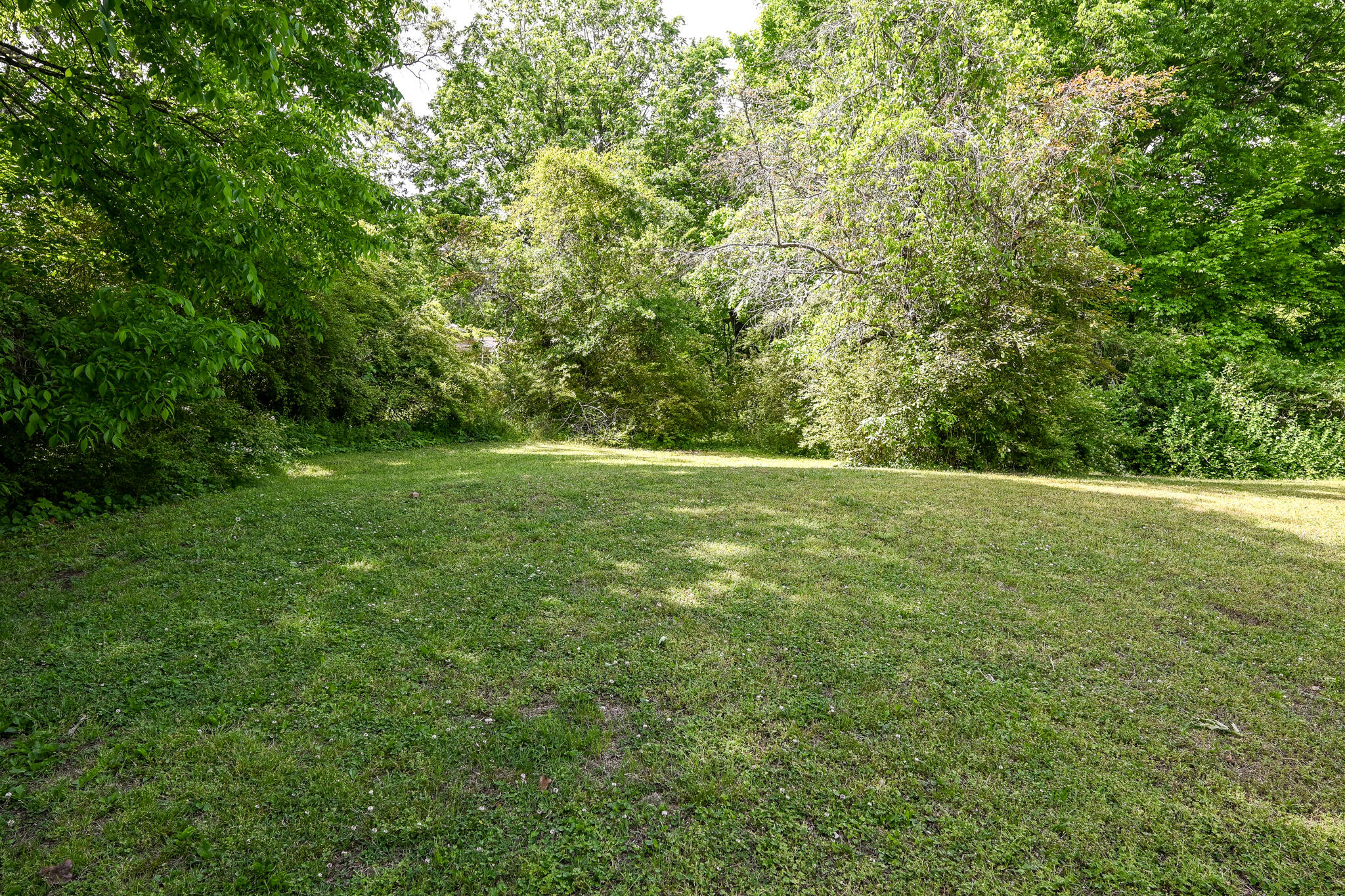 233 Pine Lane