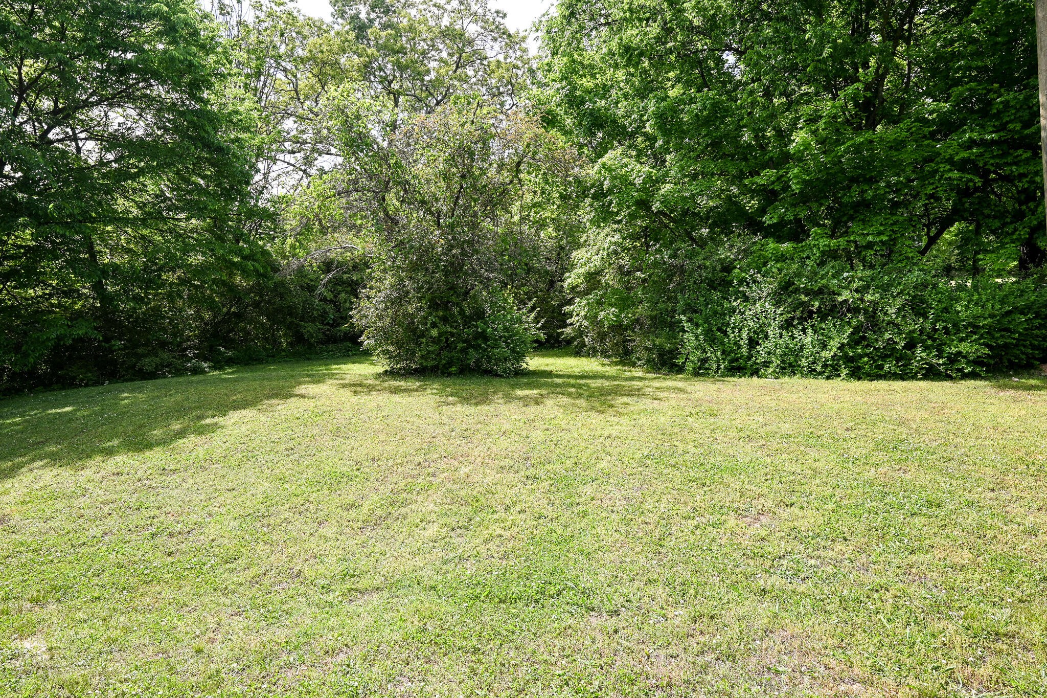 233 Pine Lane, NW
