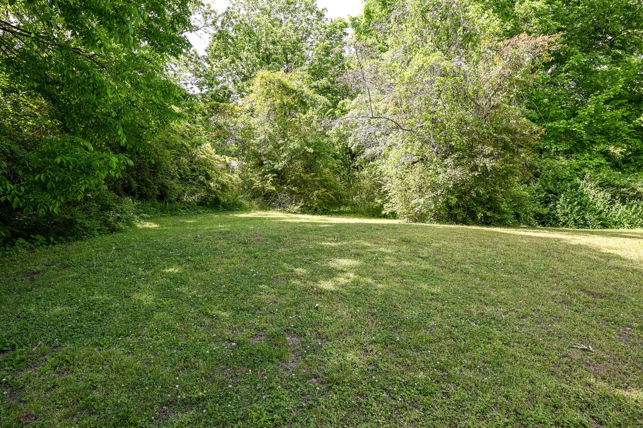 233 Pine Lane, NW