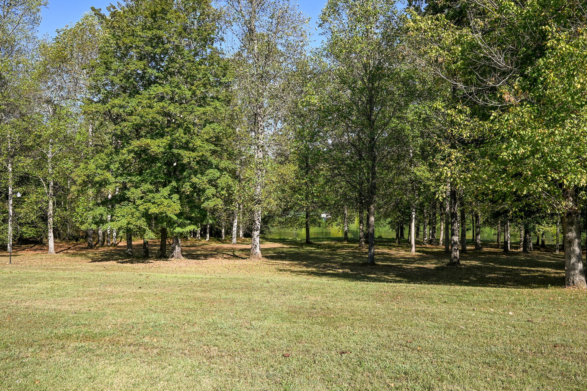 8024 Highway 58