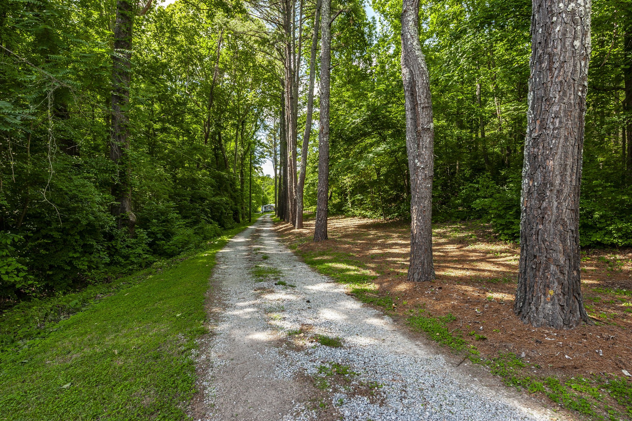 8624 Cub Creek Rd