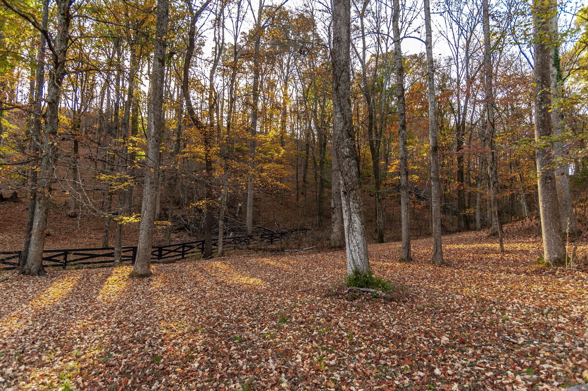 407 Hogans Branch Rd