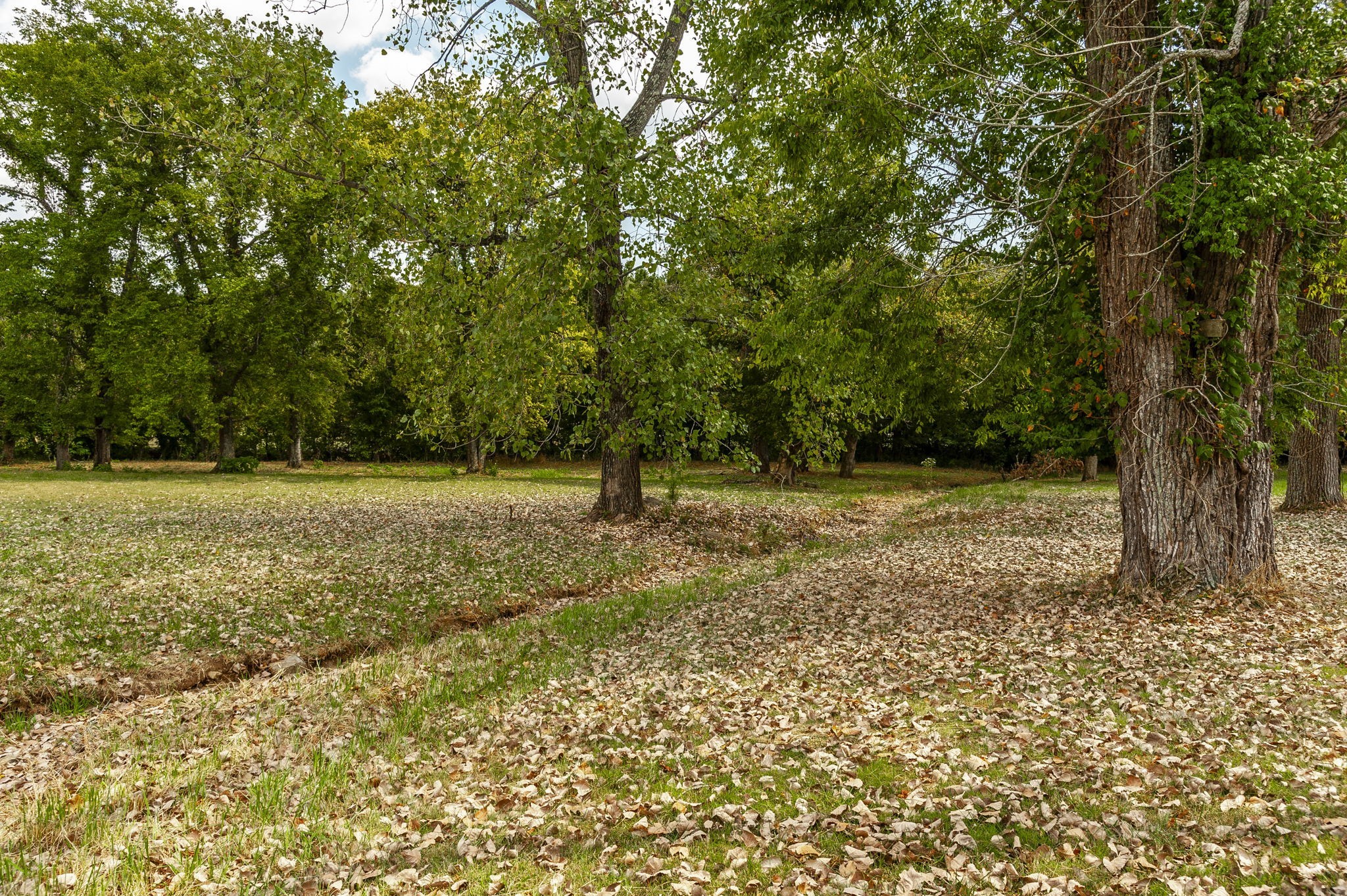 755 Long Hollow Pike