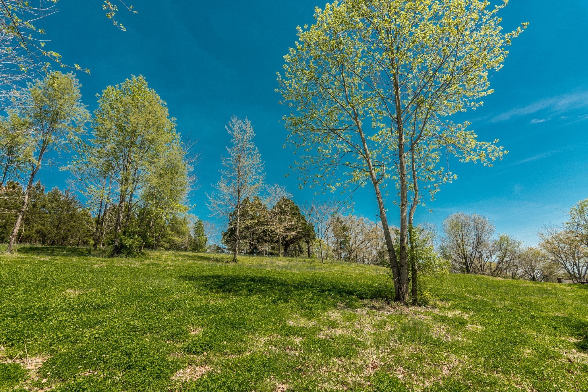 2590 Couchville Pike