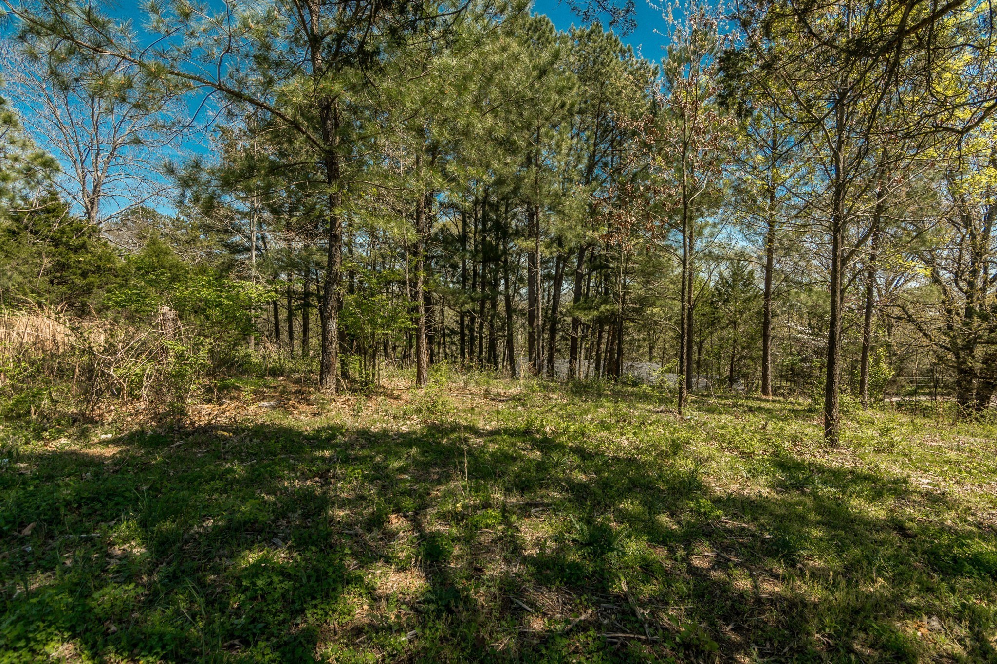 2590 Couchville Pike