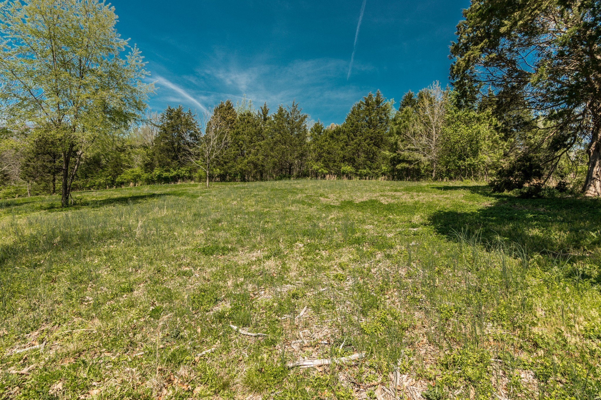 2590 Couchville Pike