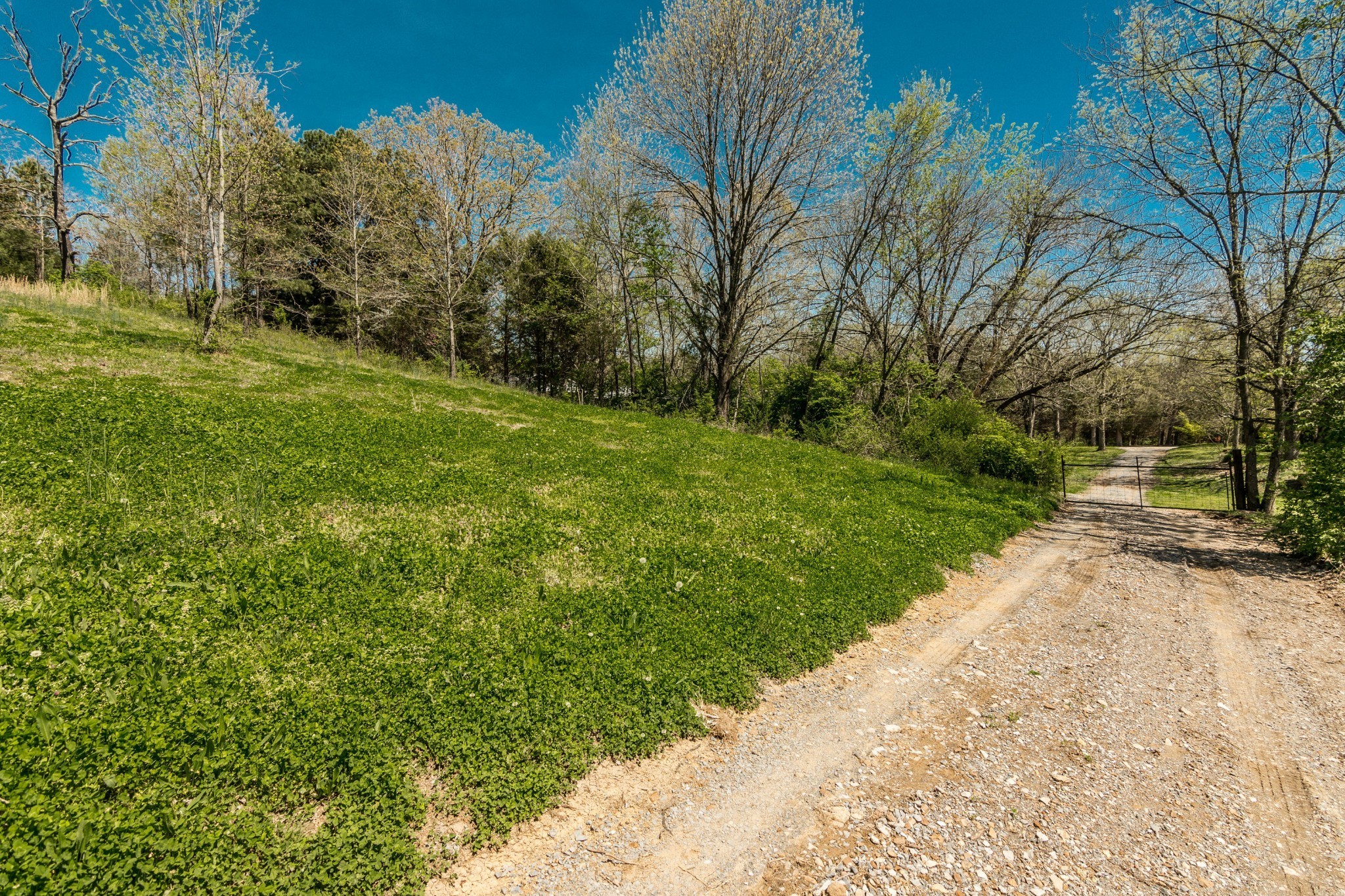 2590 Couchville Pike