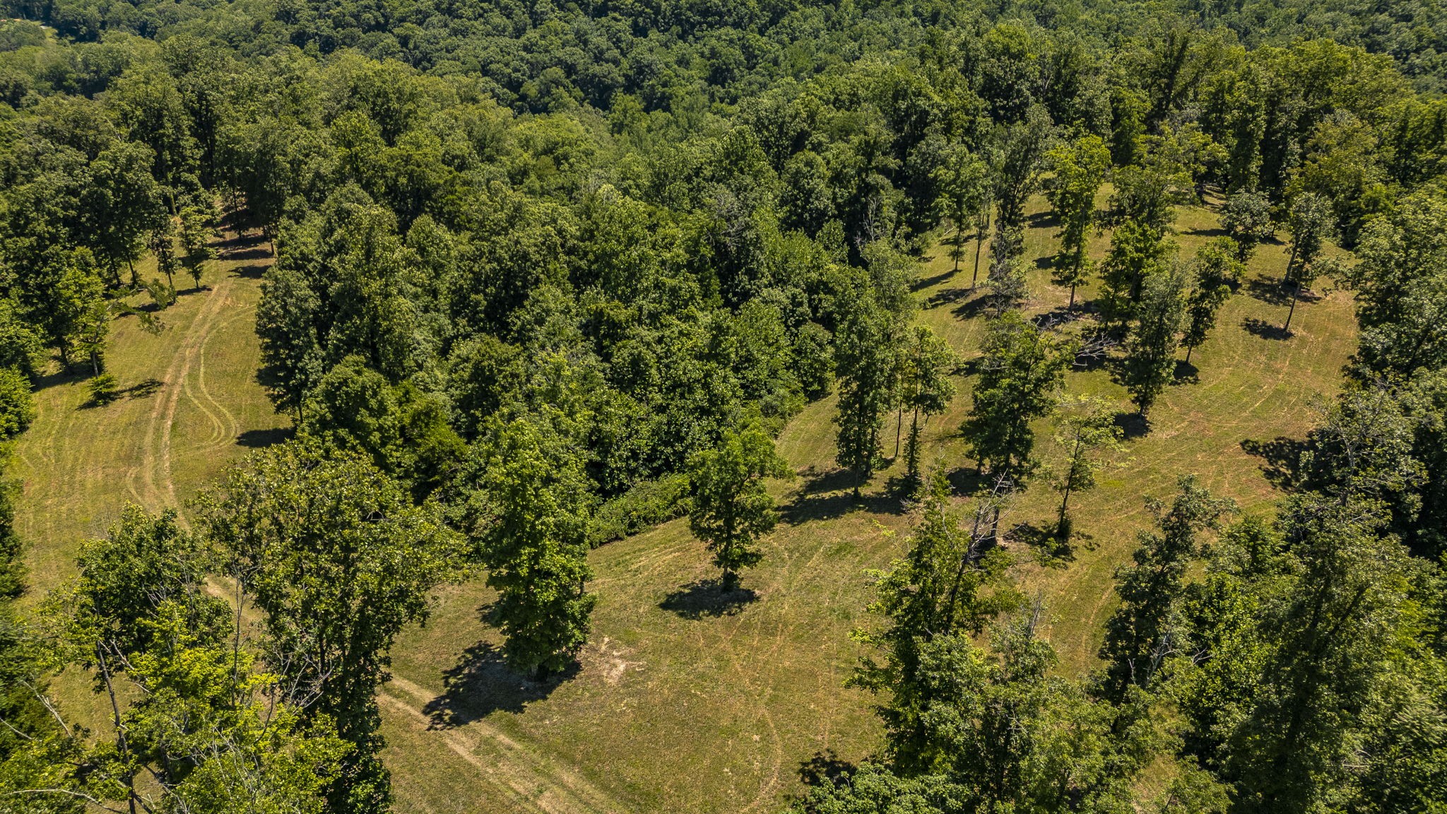 8388 Cub Creek Rd
