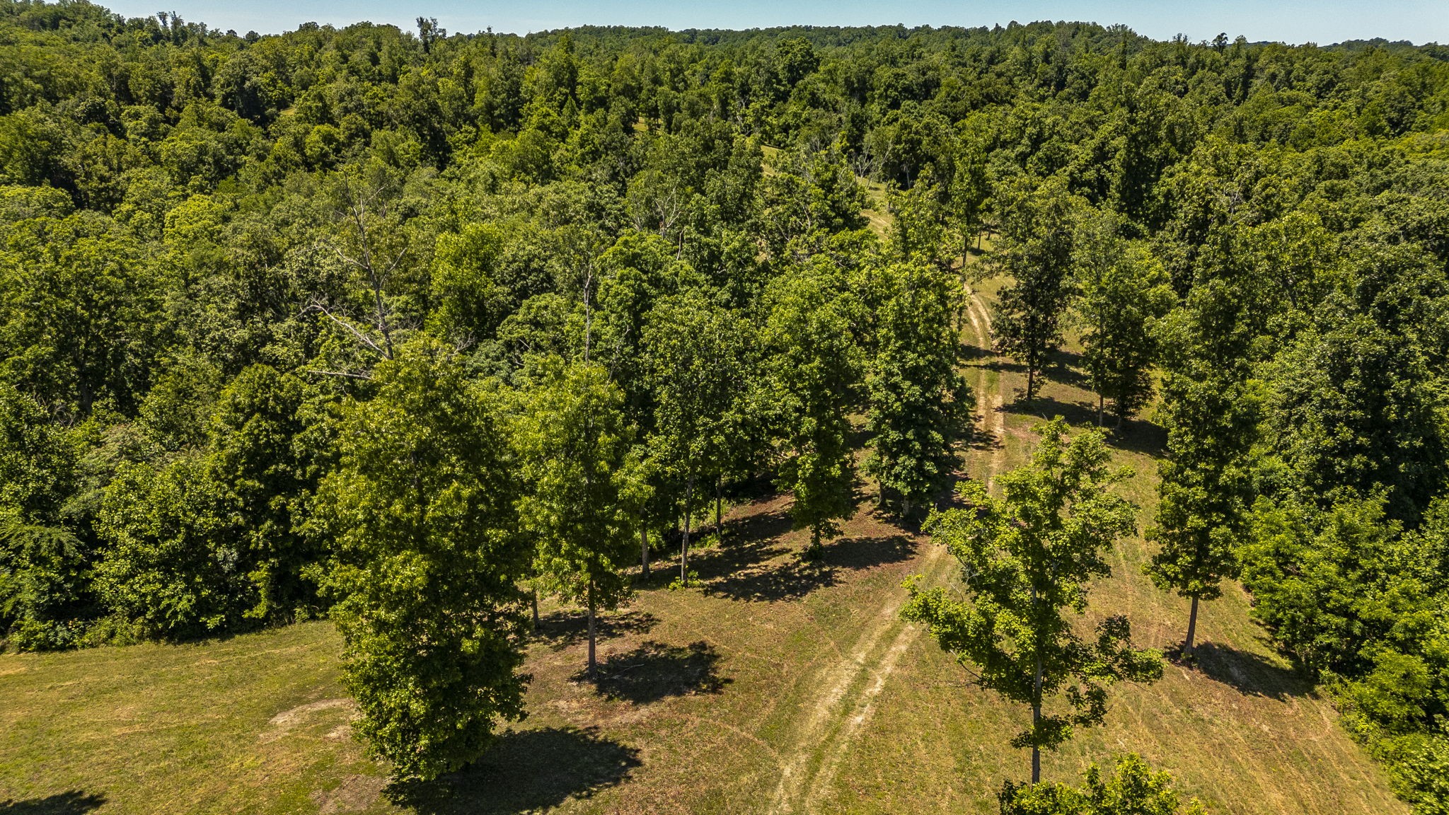 8388 Cub Creek Rd
