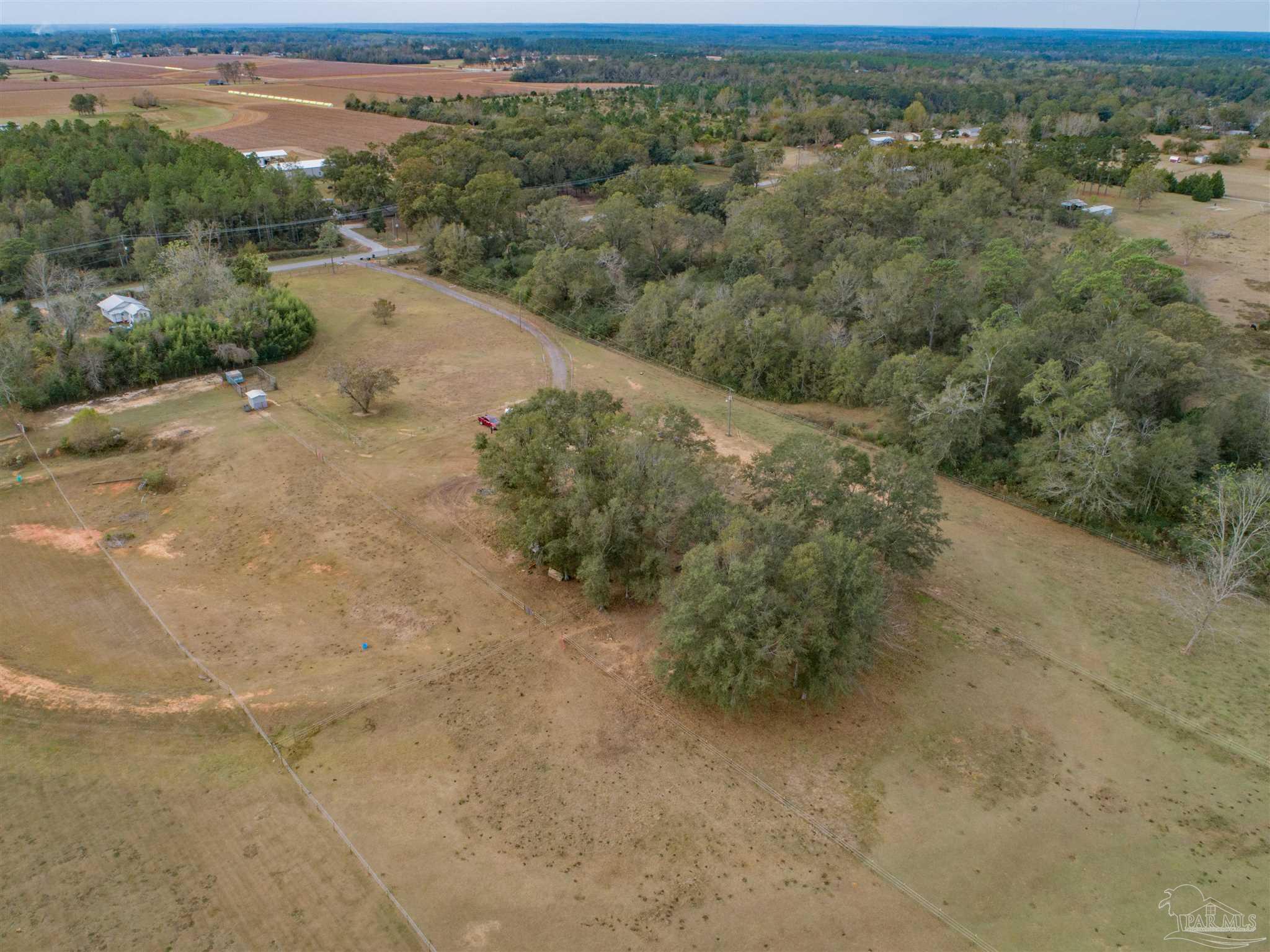 Aerial view of open pasture bordered by mature trees, with fenced fields and a curved driveway.