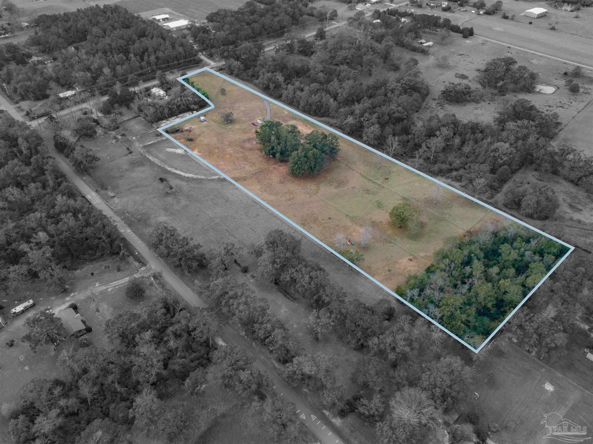 Aerial view of a rural parcel outlined in blue, with open grassland and trees.