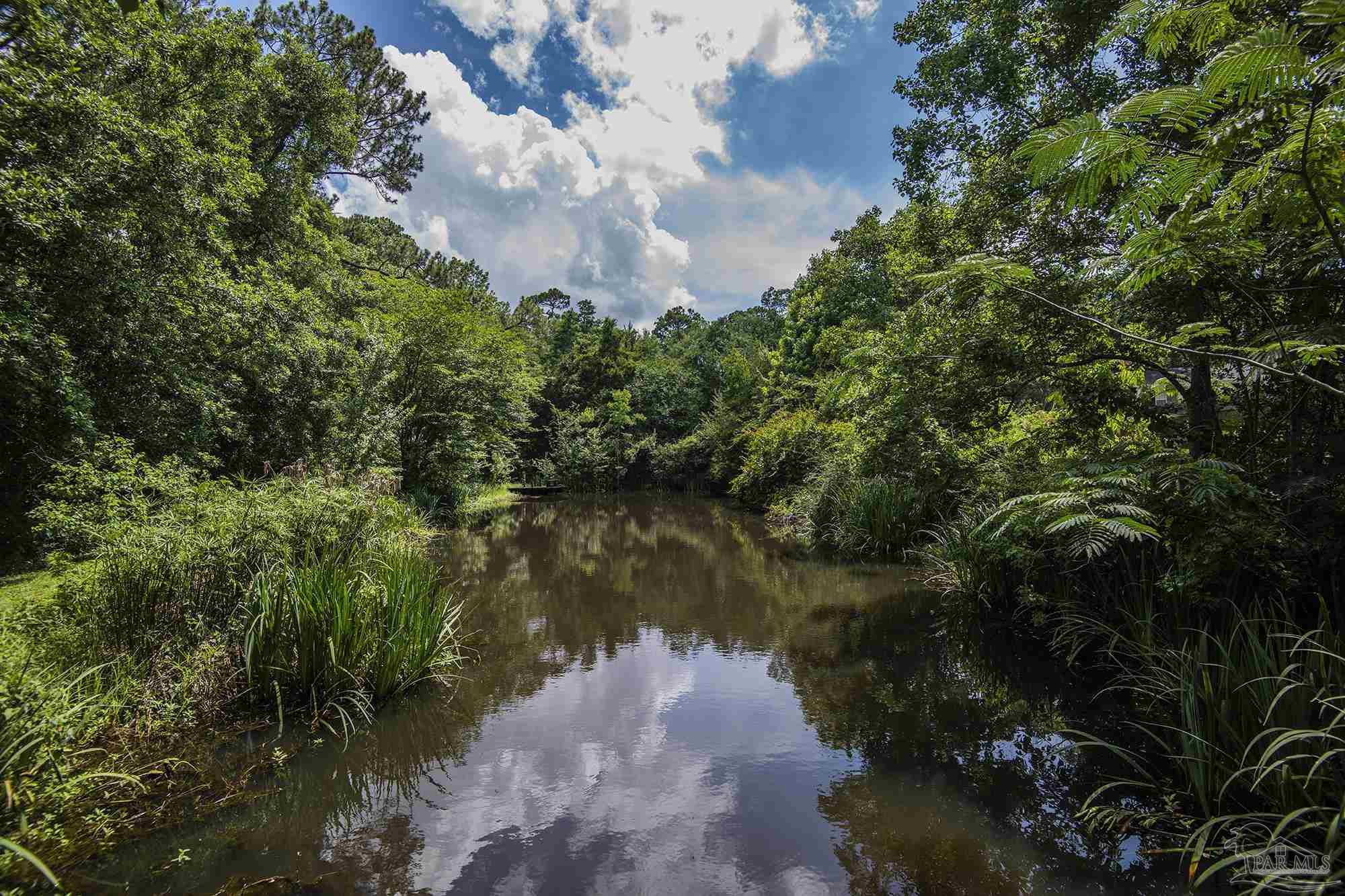 Wooded pond bordered by dense greenery, reflecting clouds and trees.