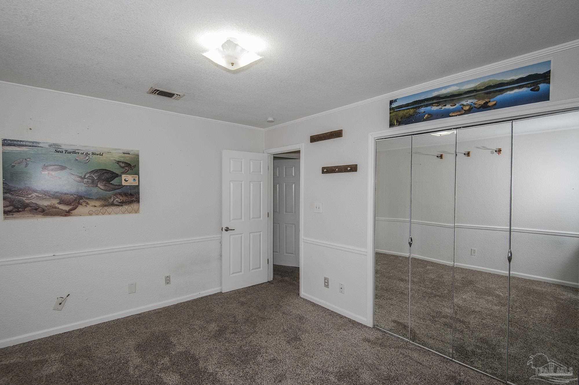 Empty carpeted bedroom with mirrored closet doors and sea turtle artwork.