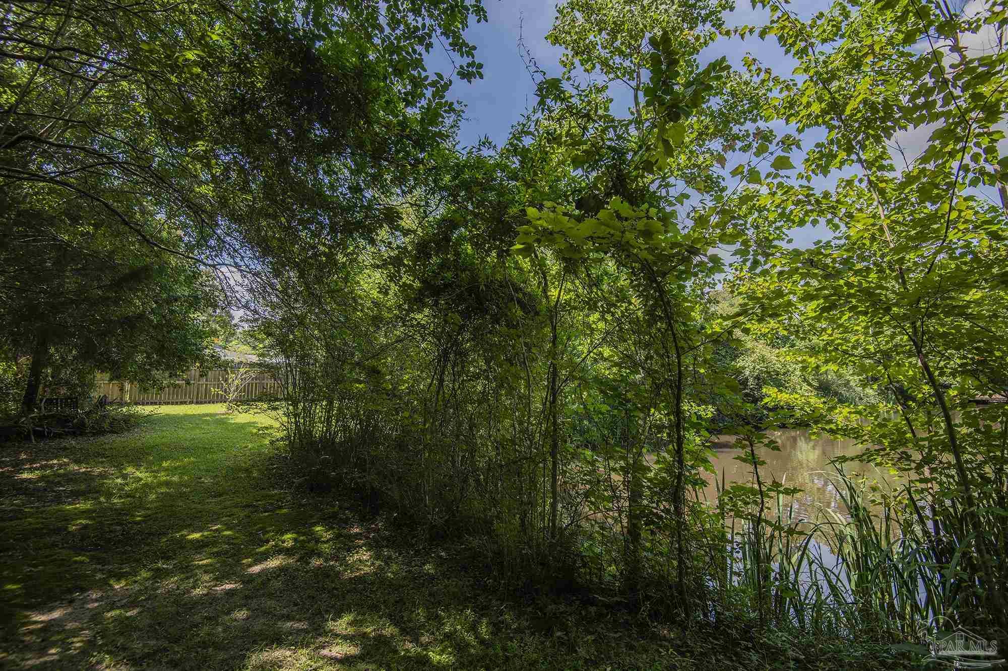 Wooded backyard with a shaded lawn beside a small pond edged with reeds.
