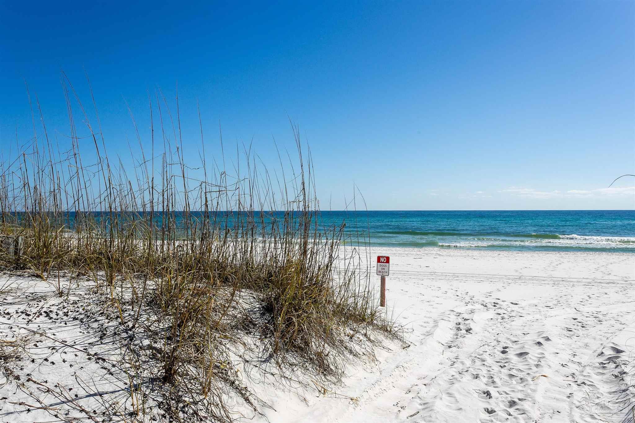 1200 Ft Pickens Rd # D Unit: 4-D