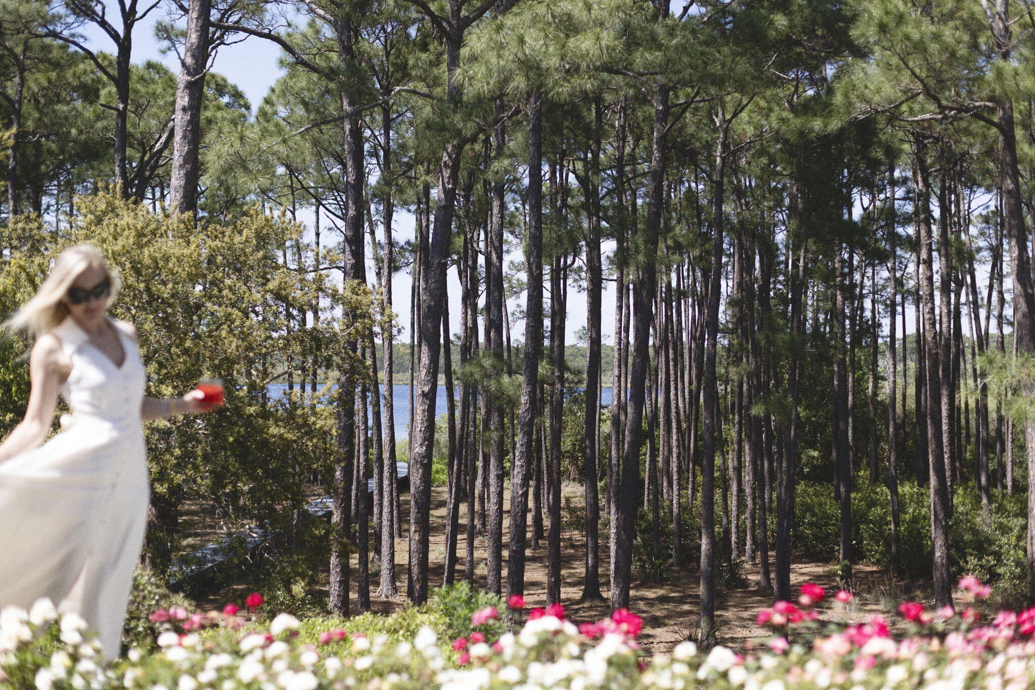 285 Twisted Pine Trail