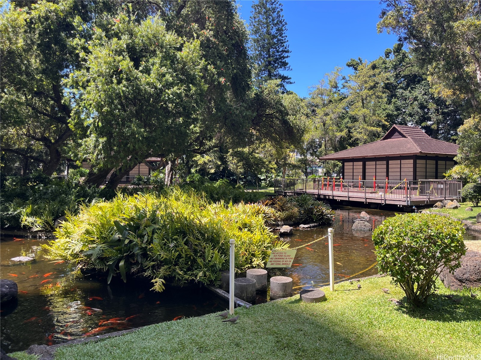 1551 Nuuanu Avenue 336