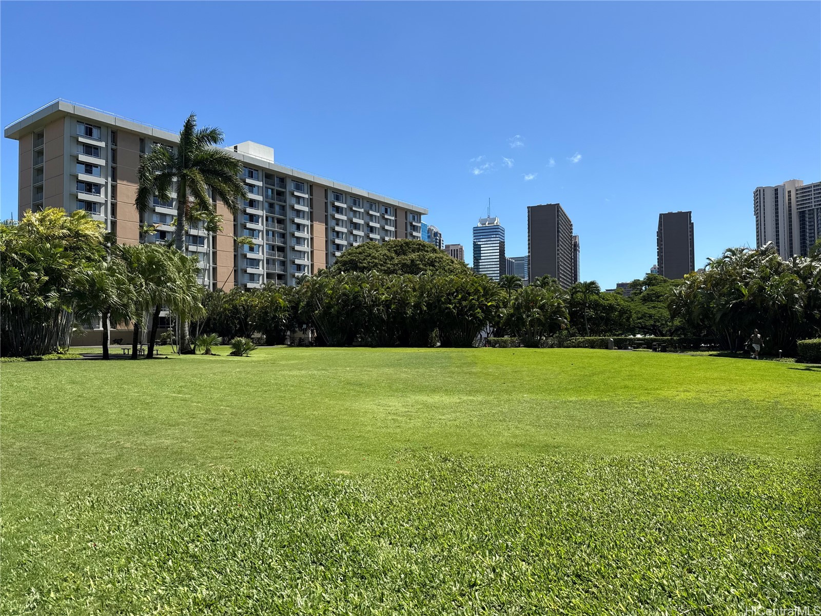 1551 Nuuanu Avenue 336