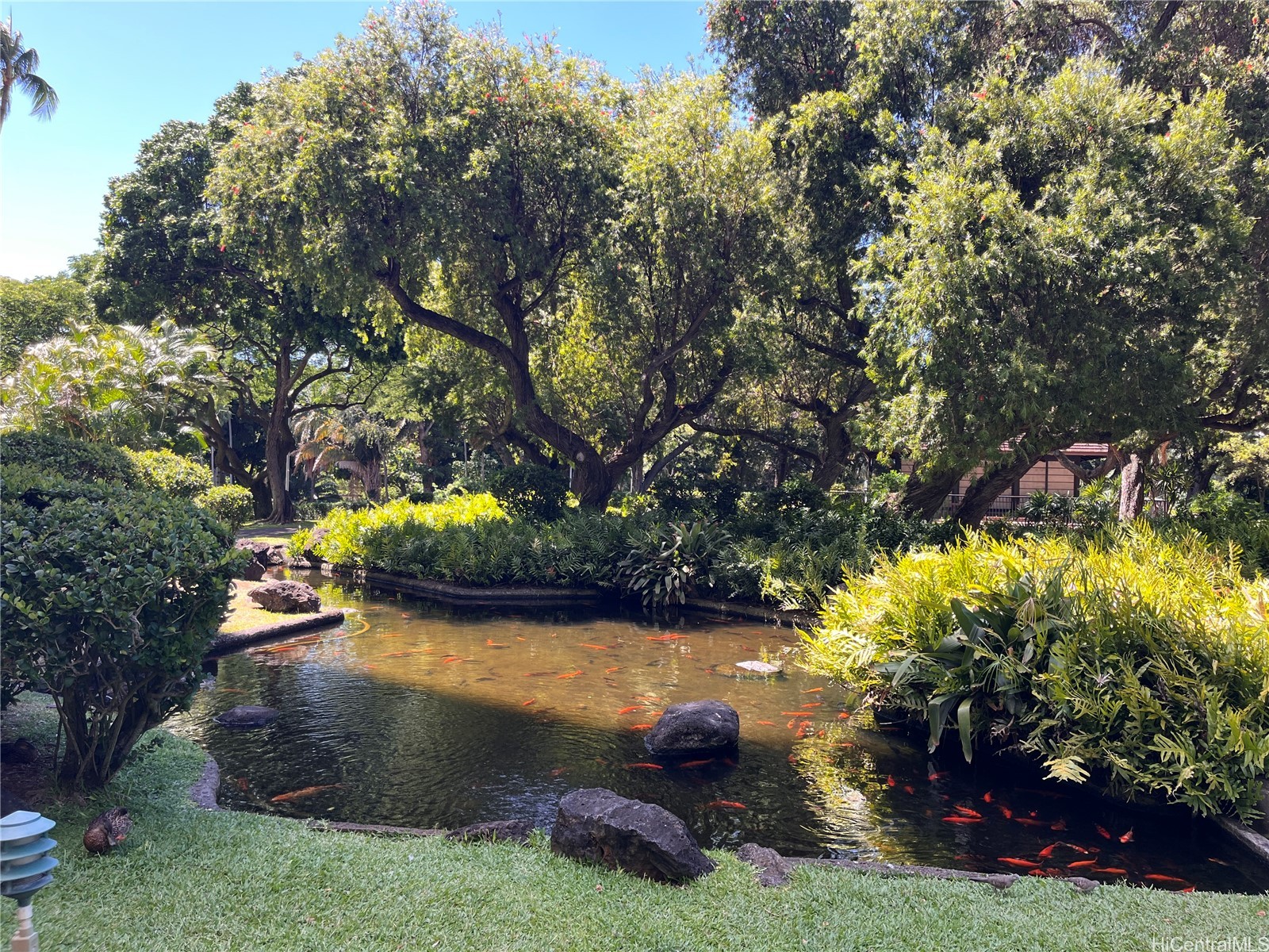 1551 Nuuanu Avenue 336
