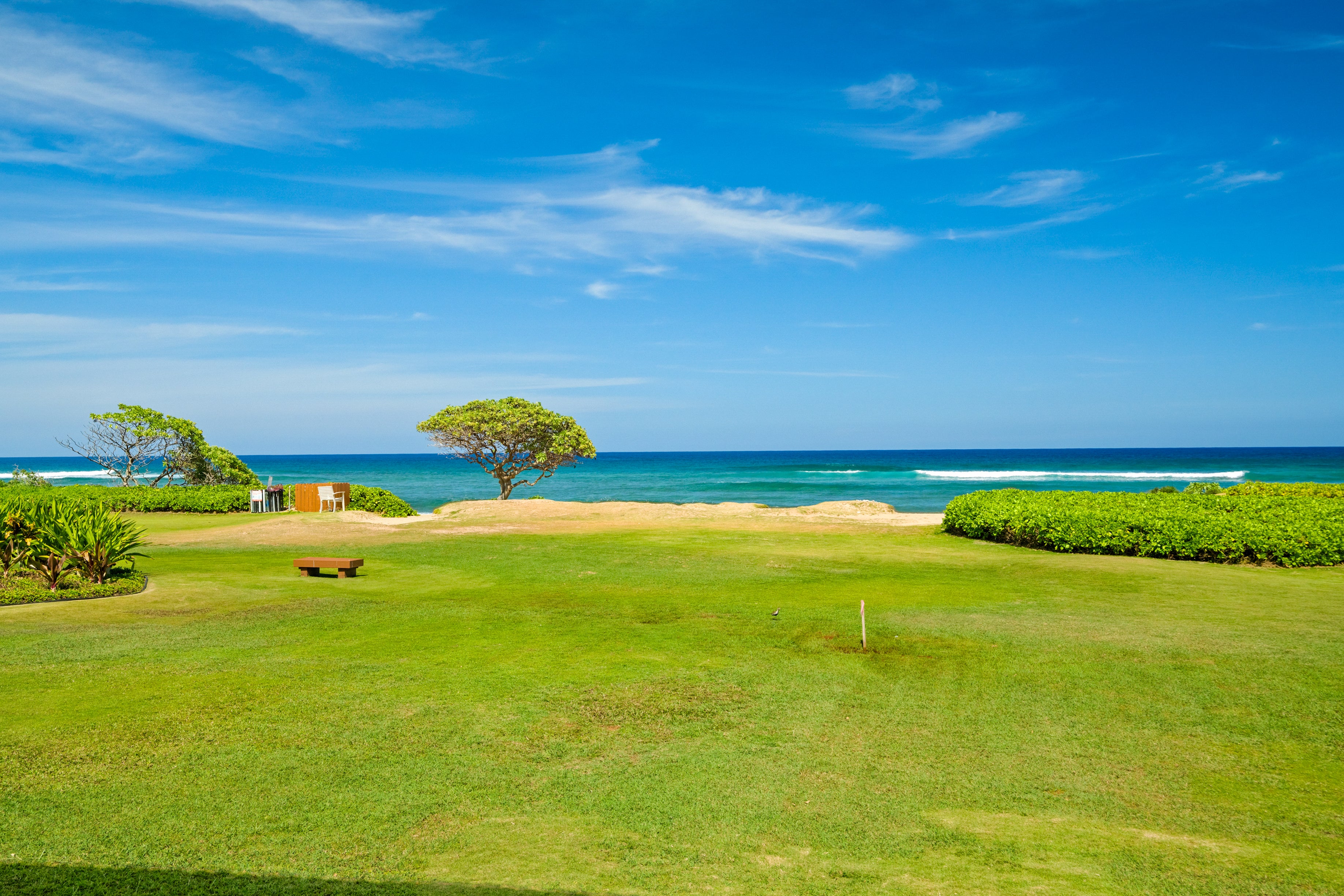 4331 KAUAI BEACH DR 4113