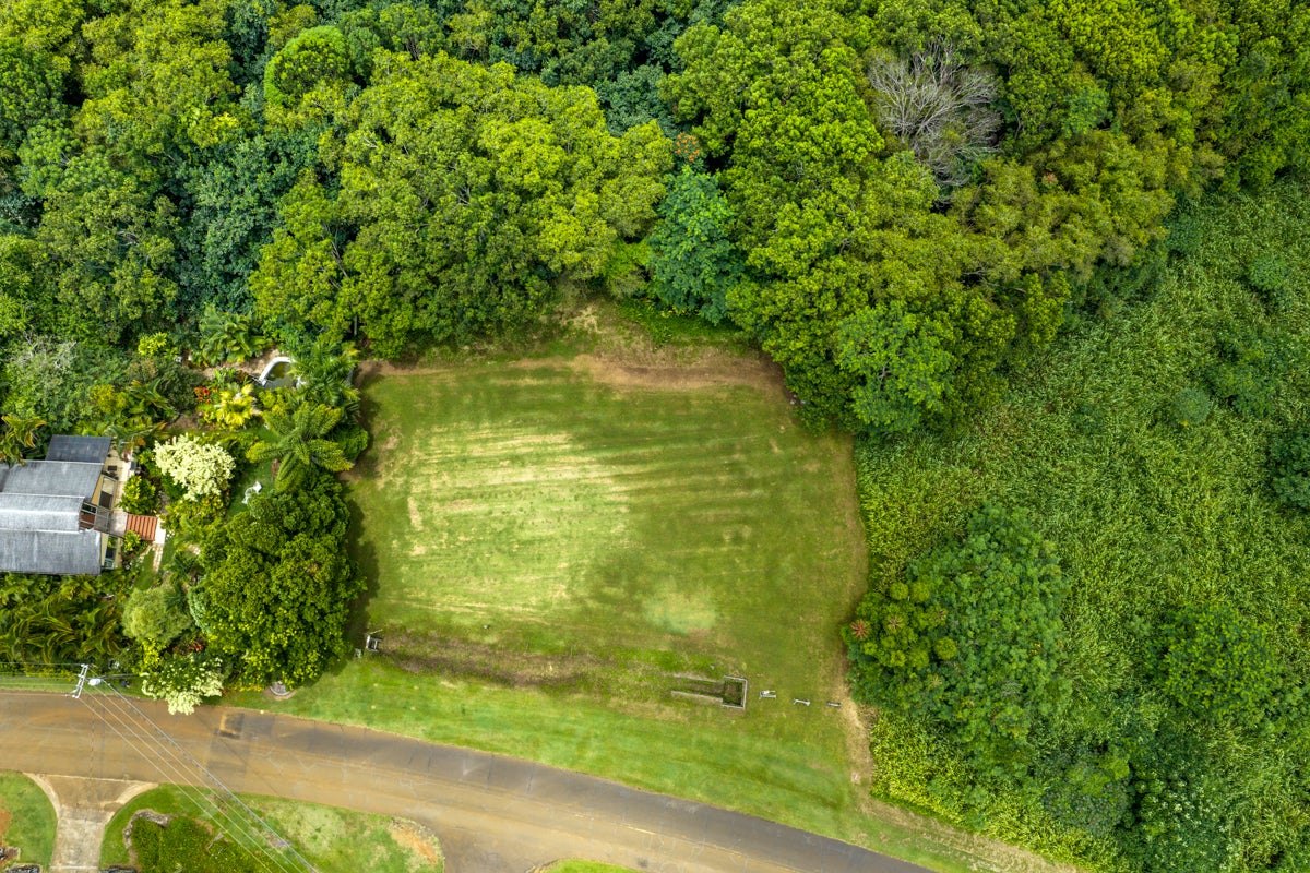 Aerial view of a grassy lot surrounded by tropical vegetation, with a road in front.