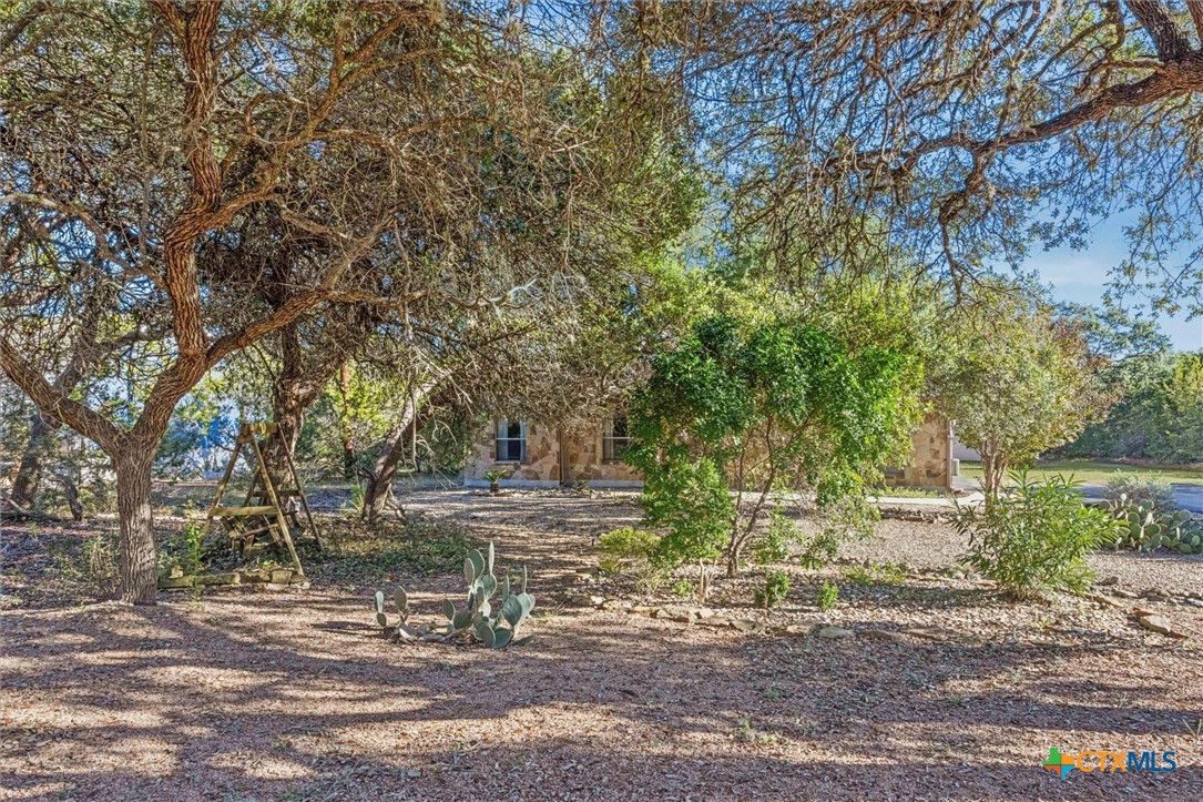 1463 Birch Lane