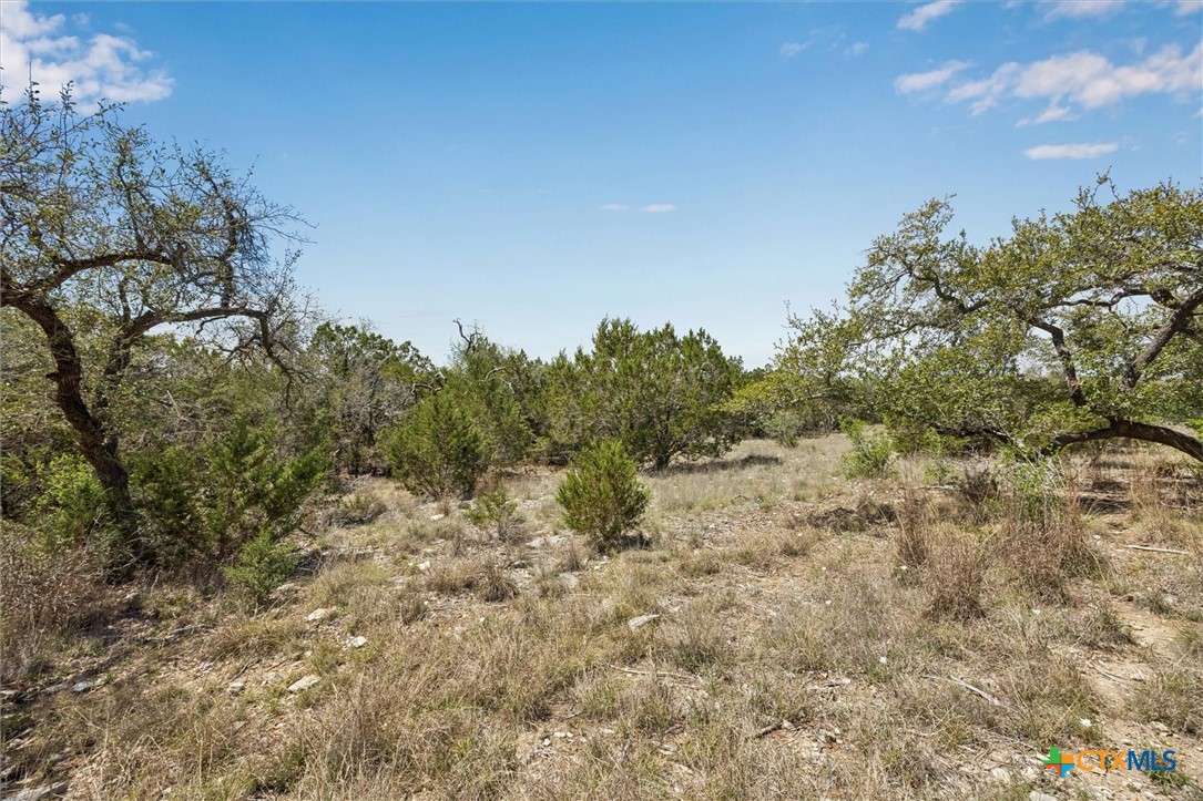 1078 Madrone Road