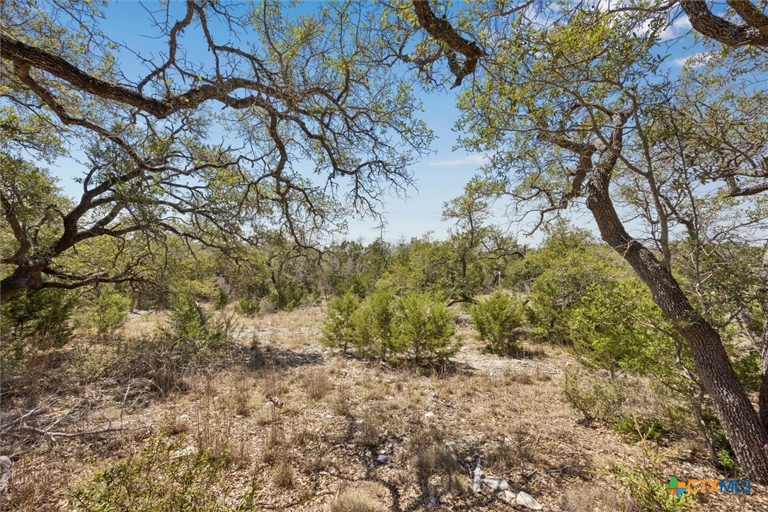 1078 Madrone Road
