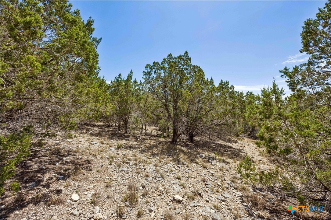 1082 Madrone Road