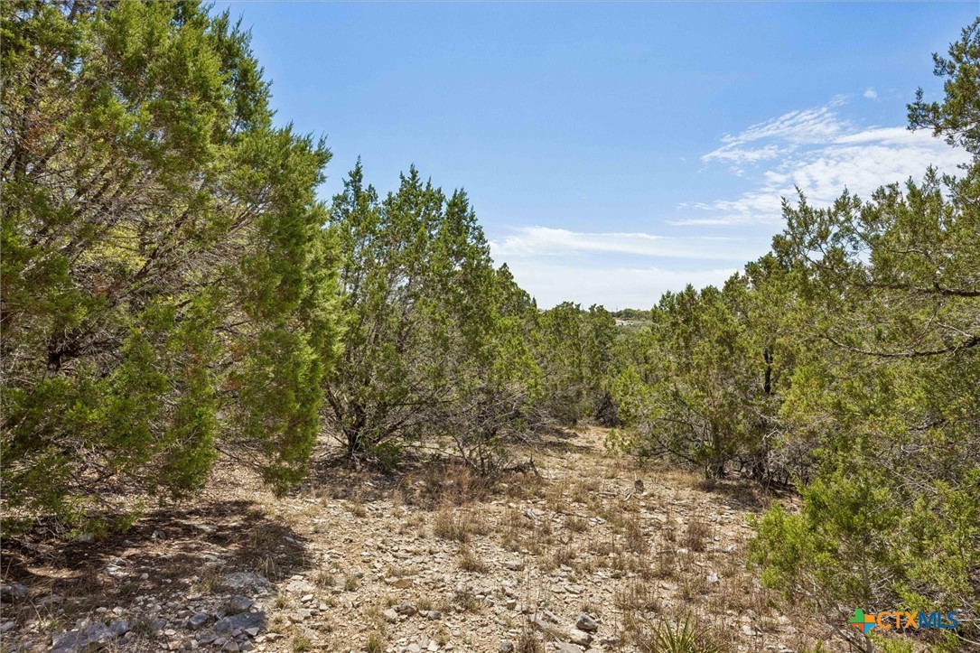 1082 Madrone Road