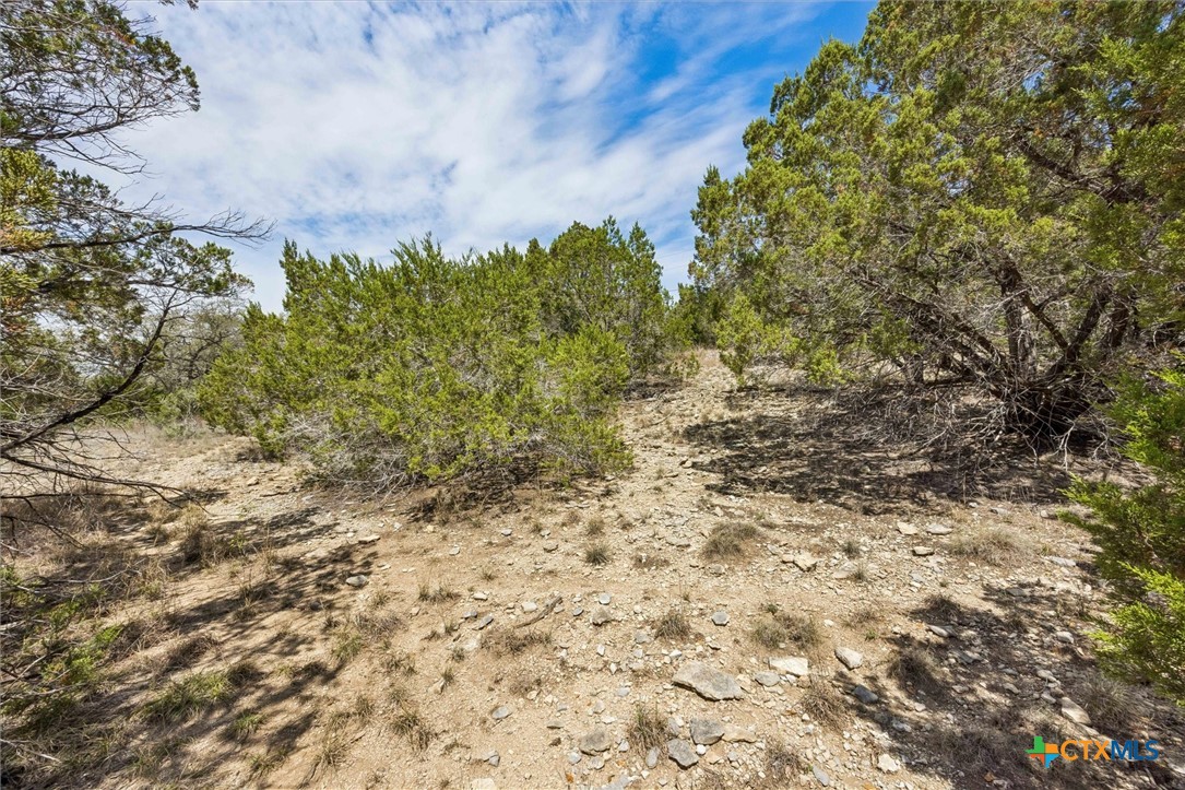 1082 Madrone Road