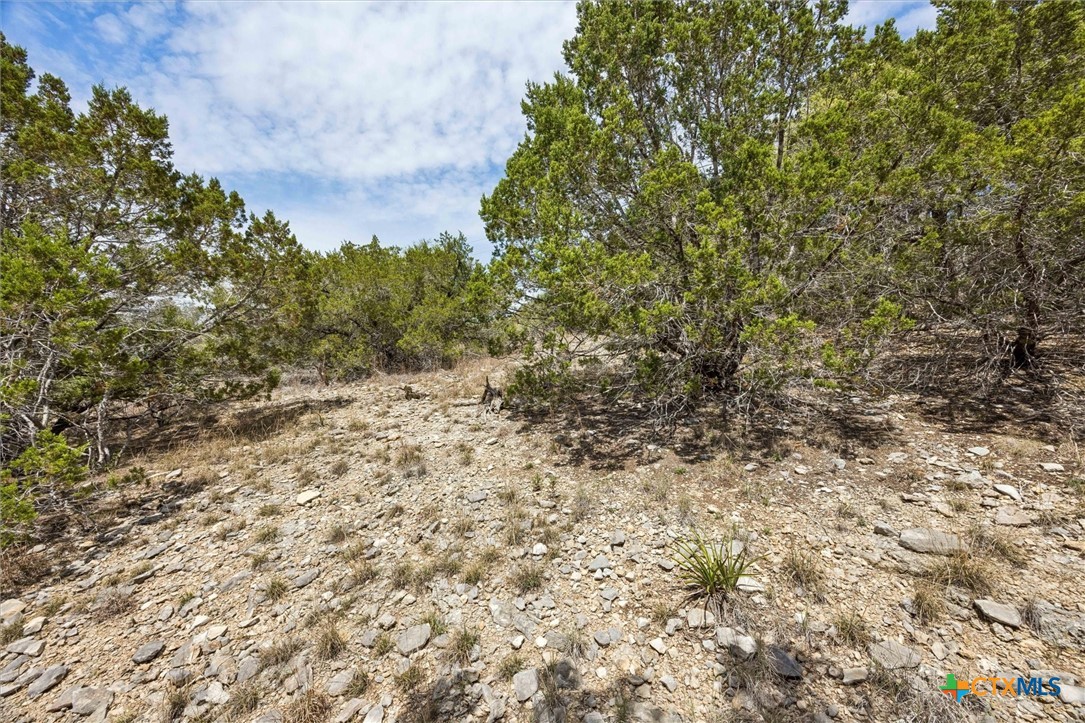 1082 Madrone Road