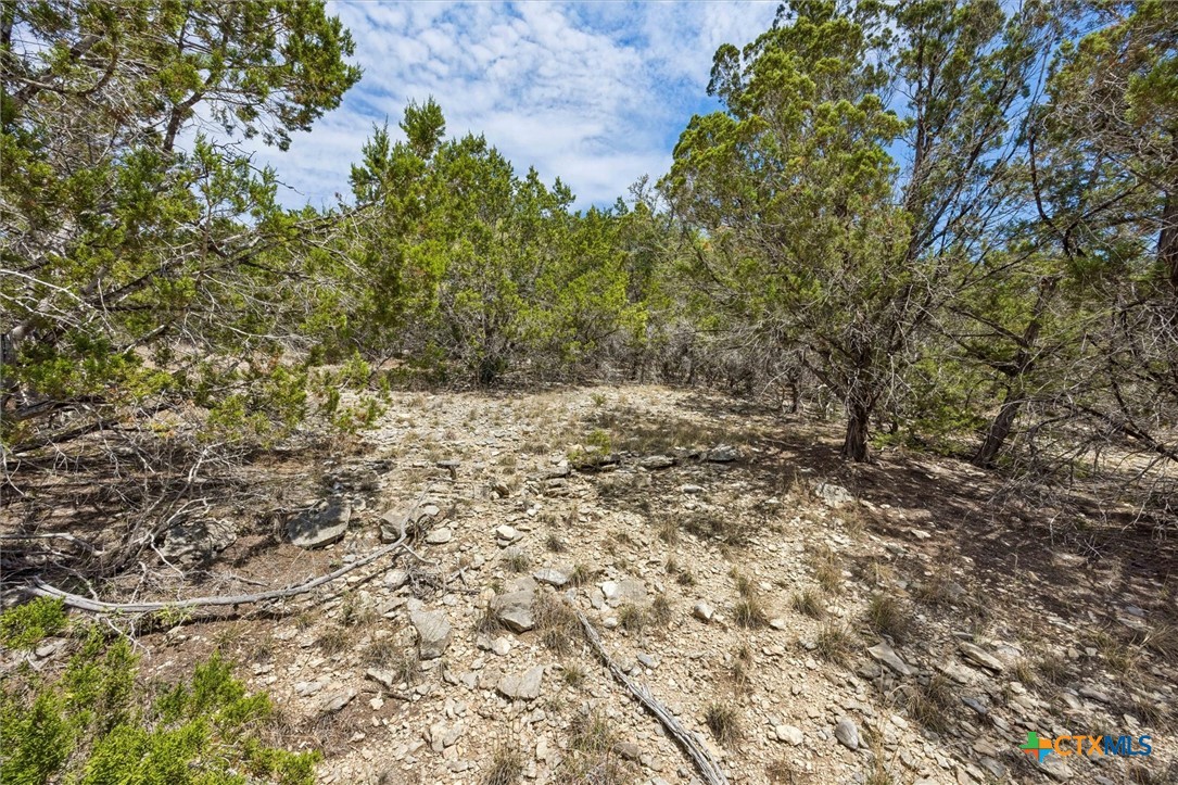 1082 Madrone Road