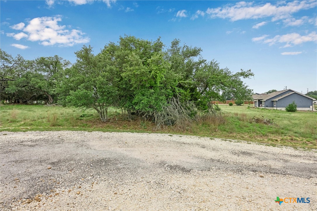 104 David Gage
