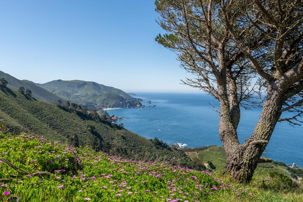 36260 Highway 1