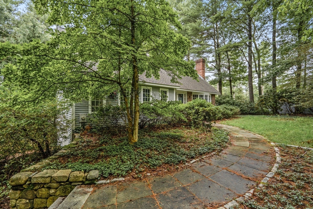 71 Walpole