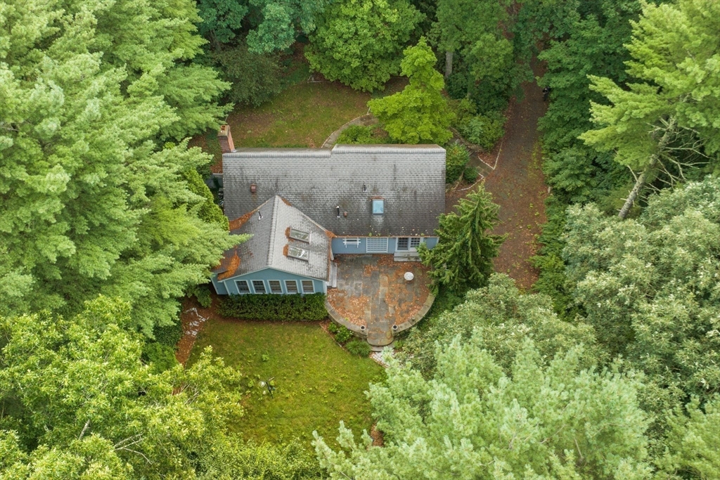 71 Walpole