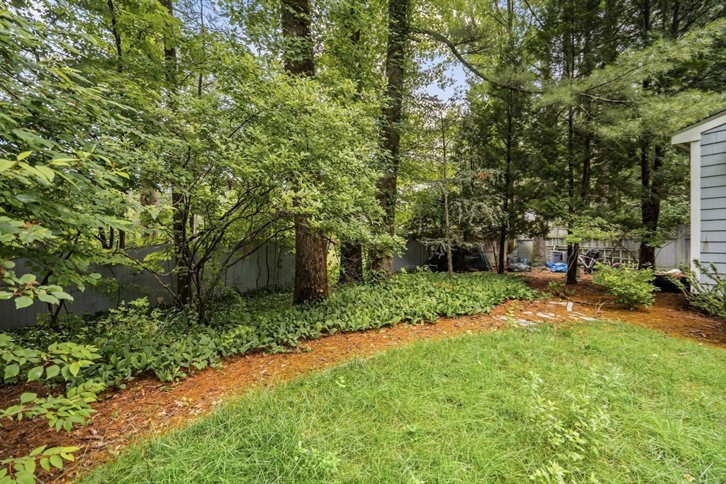 71 Walpole