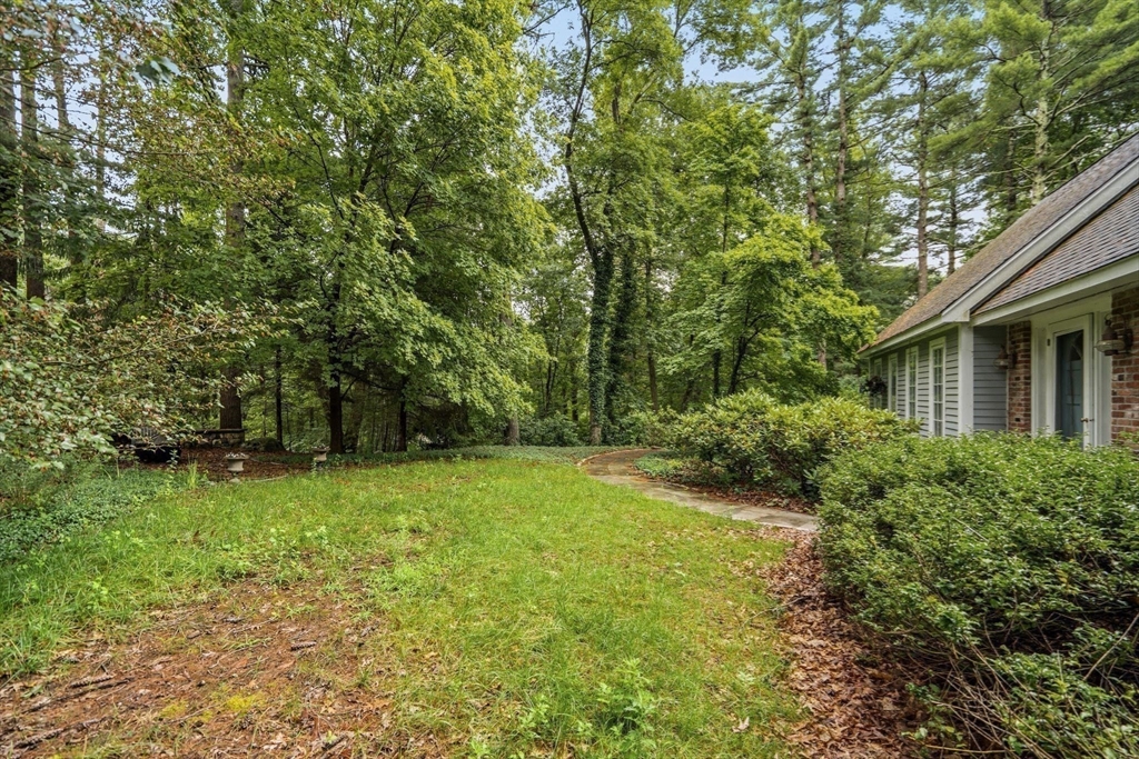 71 Walpole