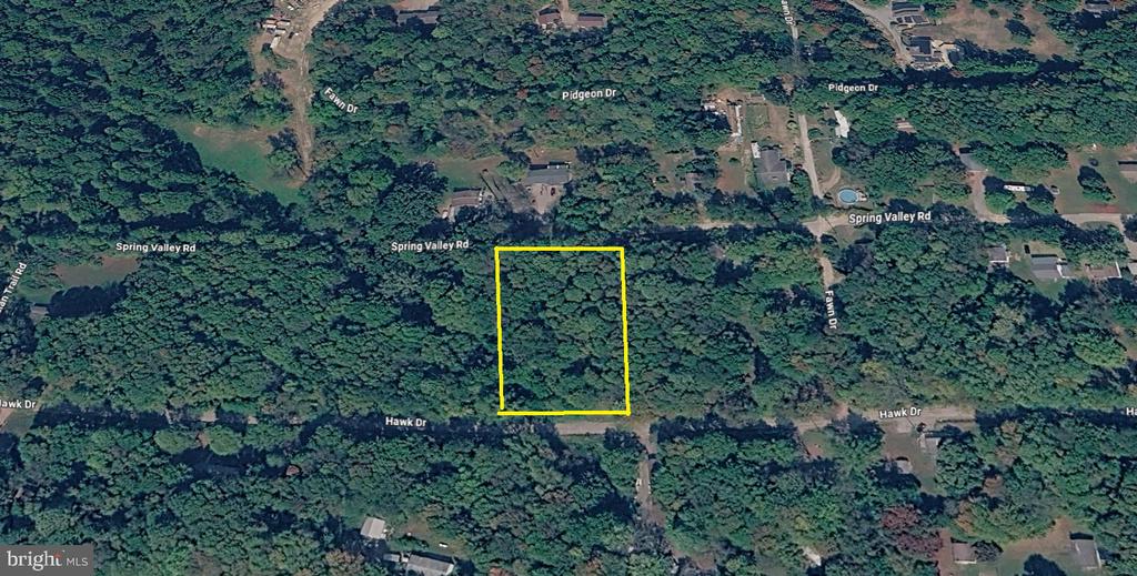 Aerial view of a wooded lot outlined in yellow between Spring Valley Road and Hawk Drive.