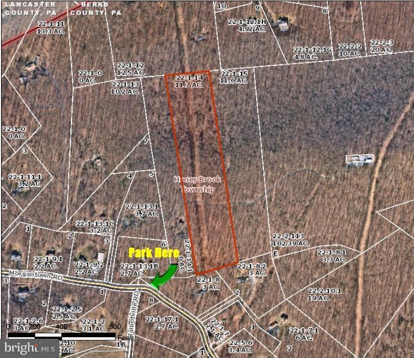 Aerial parcel map highlighting a wooded 11.7-acre tract along Morgantown Road.