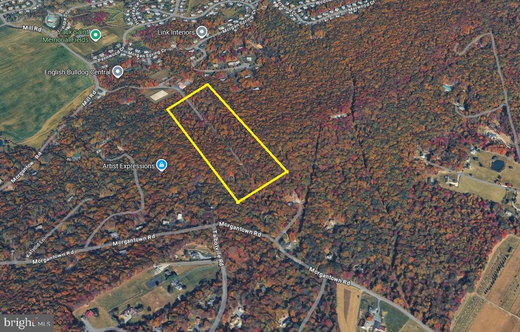 Aerial view of a wooded property outlined in yellow along Morgantown Road.